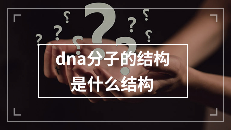 dna分子的结构是什么结构