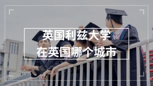 英国利兹大学在英国哪个城市