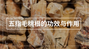 五指毛桃根的功效与作用