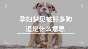 孕妇梦见被好多狗追是什么意思