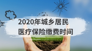 2020年城乡居民医疗保险缴费时间