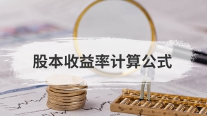 股本收益率计算公式