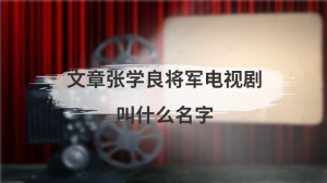 文章张学良将军电视剧叫什么名字