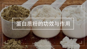 蛋白质粉的功效与作用