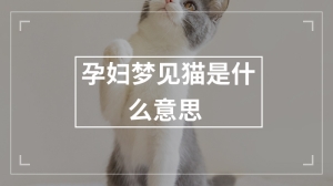 孕妇梦见猫是什么意思