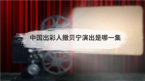 中国出彩人撒贝宁演出是哪一集