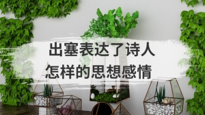 出塞表达了诗人怎样的思想感情