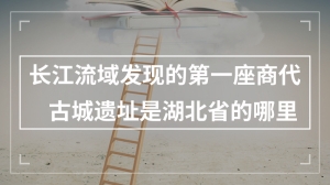 长江流域发现的第一座商代古城遗址是湖北省的哪里