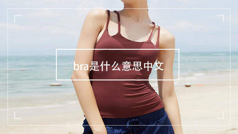 bra是什么意思中文