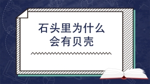 石头里为什么会有贝壳