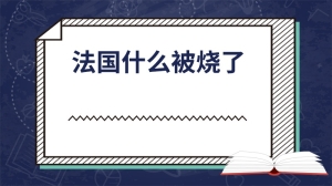 法国什么被烧了