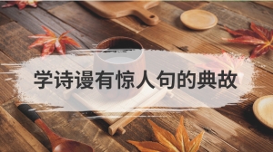 学诗谩有惊人句的典故