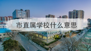 市直属学校什么意思