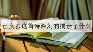 已亥岁这首诗深刻的揭示了什么