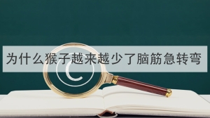 为什么猴子越来越少了脑筋急转弯