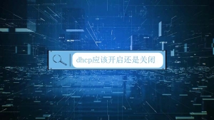 dhcp应该开启还是关闭