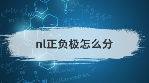 nl正负极怎么分