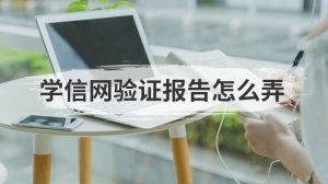 学信网验证报告怎么弄