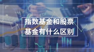 指数基金和股票基金有什么区别