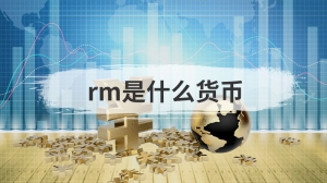 rm是什么货币