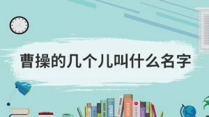 曹操的几个儿叫什么名字