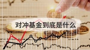 对冲基金到底是什么