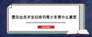 愿你出走半生归来仍是少年是什么意思