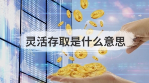 灵活存取是什么意思