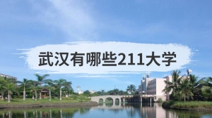 武汉有哪些211大学