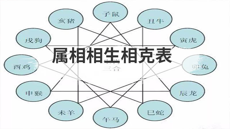 属相相生相克表