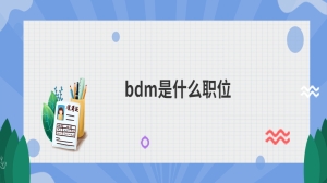 bdm是什么职位