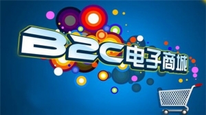 b2c网站有哪些