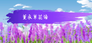 薰衣草花语