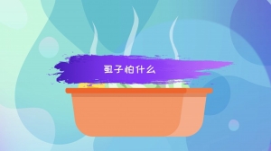 虱子怕什么