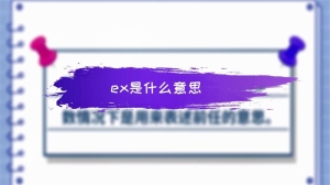 ex是什么意思