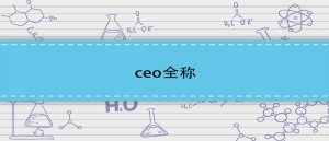 ceo全称