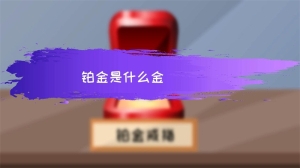 铂金是什么金