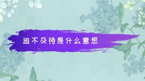 迫不及待是什么意思