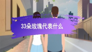 33朵玫瑰代表什么