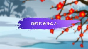 梅花代表什么人