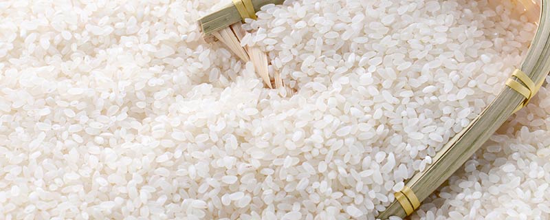 普通大米和碱地大米的区别