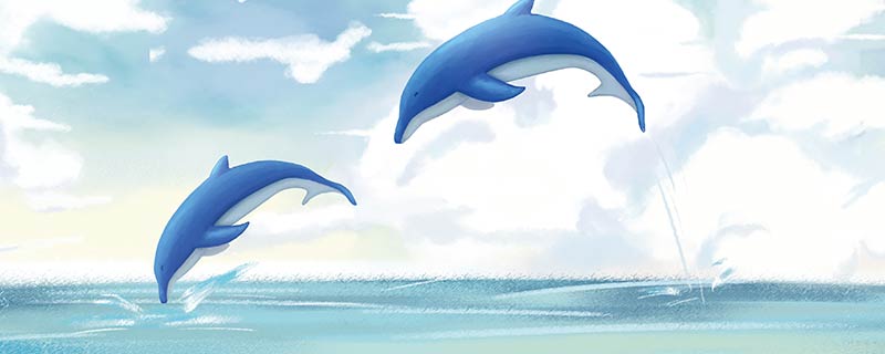 海豚的寓意是什么