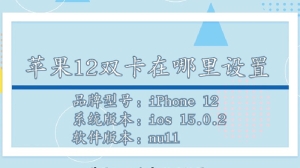 iPhone12双卡在哪里设置