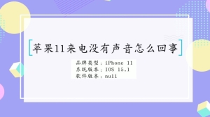 iPhone11来电没有声音怎么回事