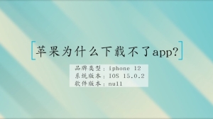 苹果为什么下载不了app?