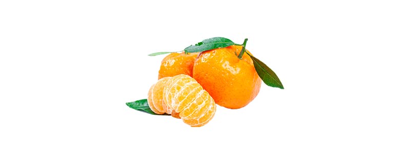 橘子和柑子的区别