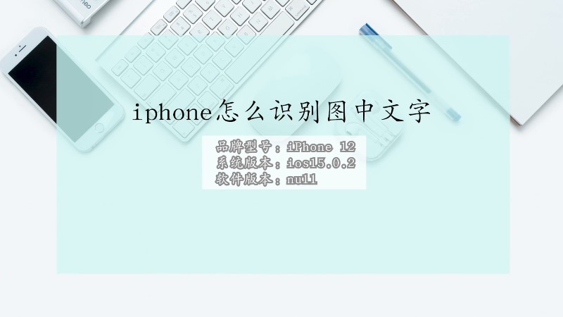 iphone怎么识别图中文字