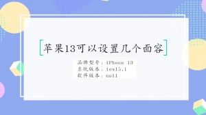 苹果13可以设置几个面容