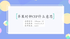 苹果时钟CUP什么意思