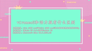 vivoneo5和活力版有什么区别